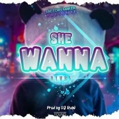 DAMBY -SHEWANNA-RIDDIM BY DJ RUN FACTORY MAKER