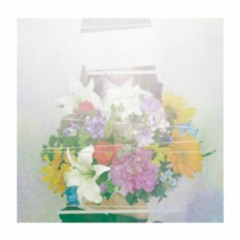 Kohaku Merry / Fireworks Beneath My Shoes