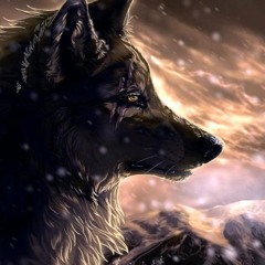 Franky Wah - Jan Blomqvist - Alberth - Tone Depth - Ivan Masa (Omer Gigi Set)