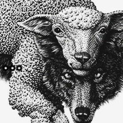 y2mate.com - WXVETRXSH  COM A XERECA.