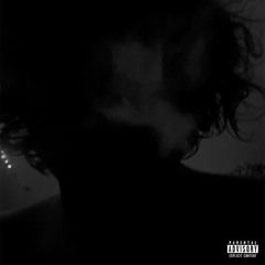 feel like playboi carti (Sevnx1)