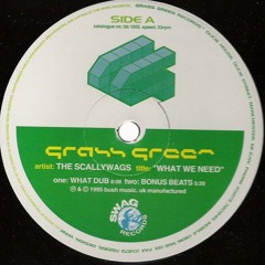 The Scallywags  – What We Need (Original) 1995