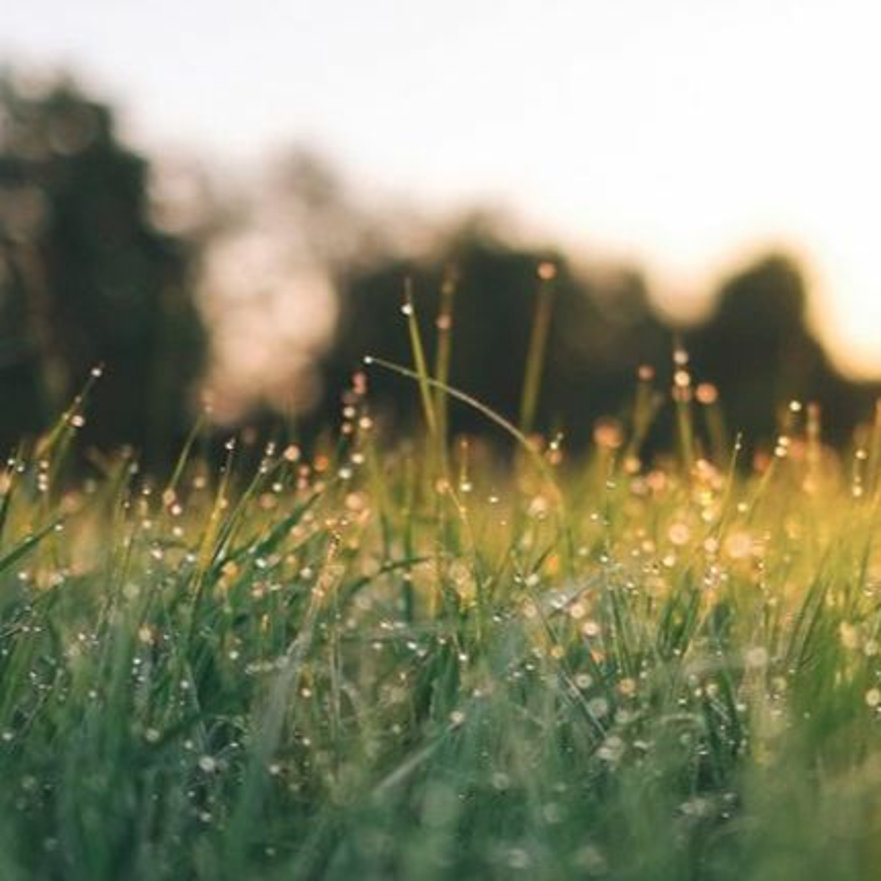 Astronomie - En route vers les etoiles