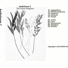 previews. The Green Kingdom - Audioloom 2 (Album) | Lᴏɴᴛᴀɴᴏ Series