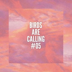 Maz @ Birds Are Calling #05