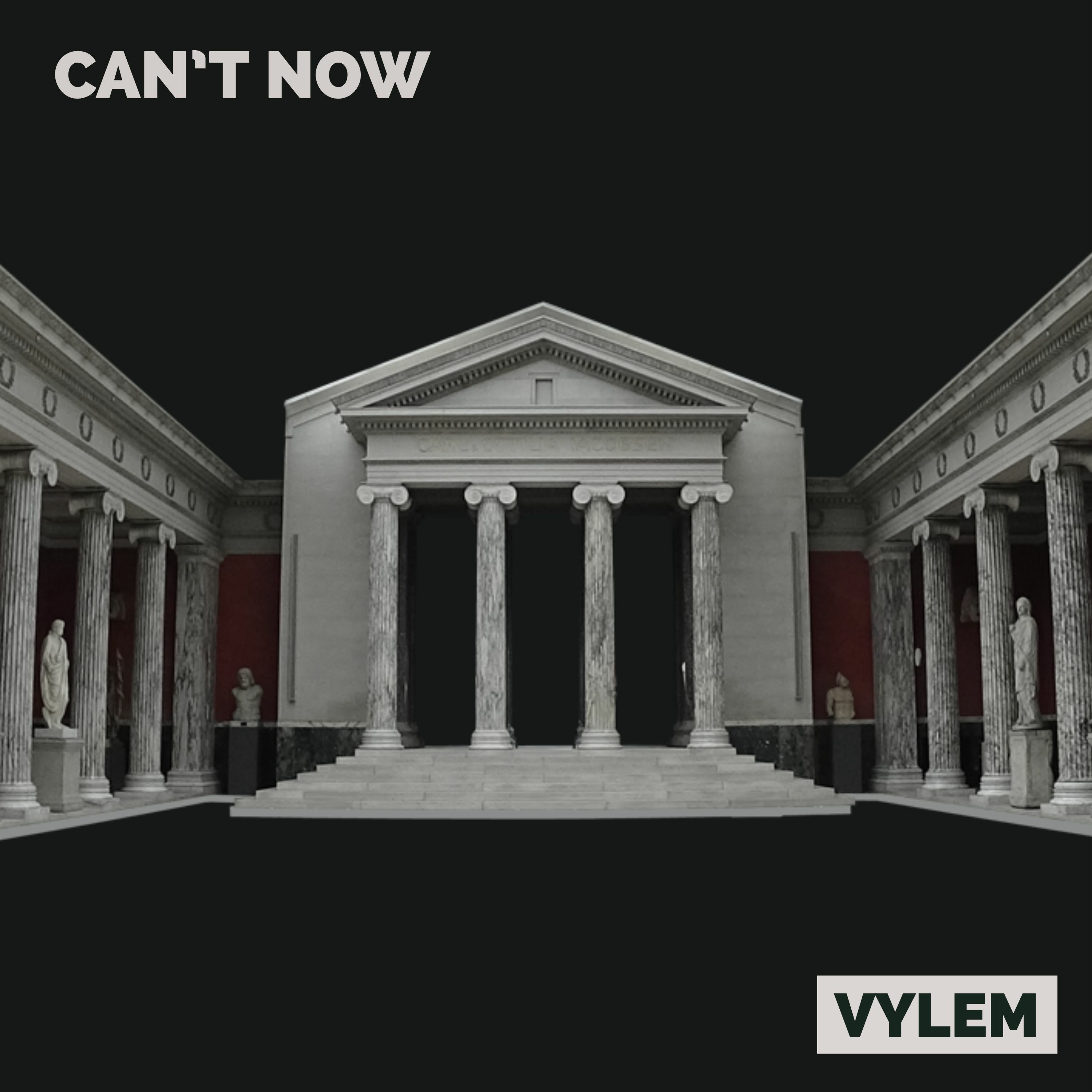 VYLEM