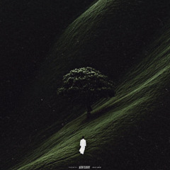 phobia 2 (slowed & reverb )