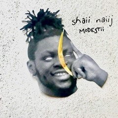 modestii (prod. by *wanobi)