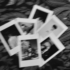 Polaroid