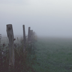 Lost Mist - Edit (from Wolfweeds)
