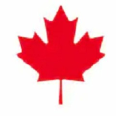 Computer Repair In Hamilton