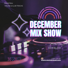 DJ Falco Mixshow December 2024 (Paul Van Dyk, Hypaton, Steve Aoki, Peggy Gou...)