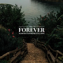 Labrinth - Forever (Maross Experimental Remix)