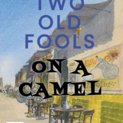 READ EPUB √ Two Old Fools on a Camel: From Spain to Bahrain and back again by  Victor