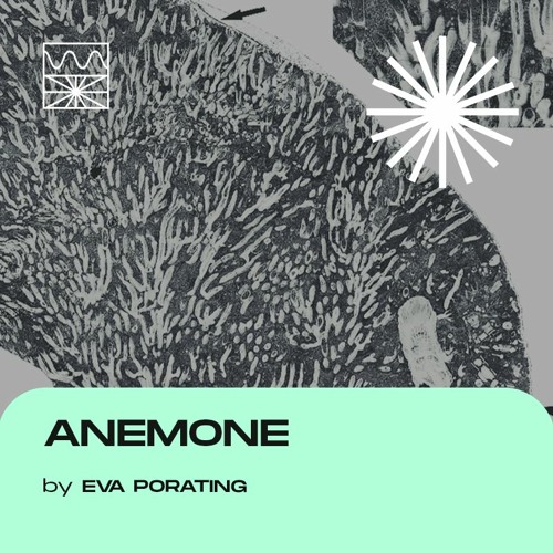 Anemone 06/22 by Eva Porating