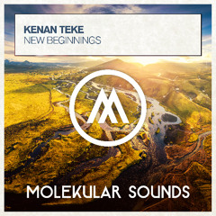 Kenan Teke - New Beginnings