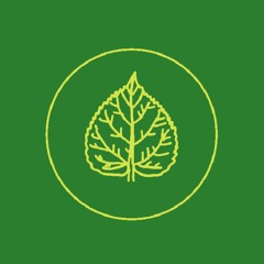 Call of the Forest (B Side)