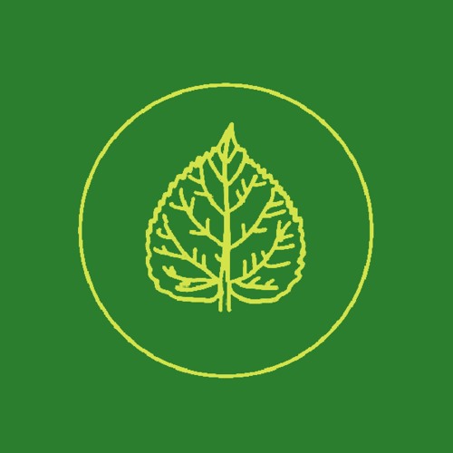 Call of the Forest (B Side)