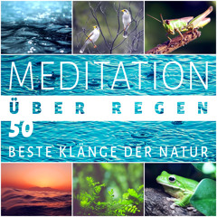 Meditation über Regen