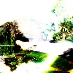 bad judgement good taste (another version)