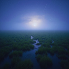 morning rain