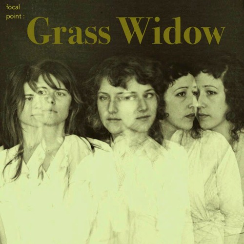 episode 310 : focal point - Grass Widow