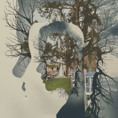 Entrelaçados o casório dos sons harmônicos em sua melodia 🎶