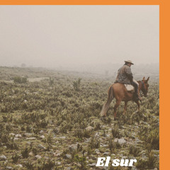 El sur/ mixtape 0.3