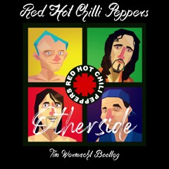 RedHotChilliPeppers - Otherside (Tim Wermacht Bootleg) FREE DL