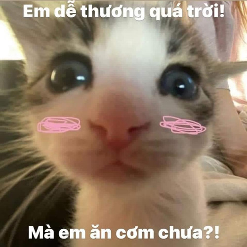 namlaydoitay(demo) Mingtofu ft pcb