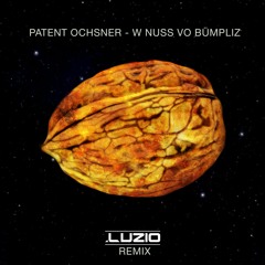 Patent Ochsner - W. Nuss vo Bümpliz (Luzio Remix)