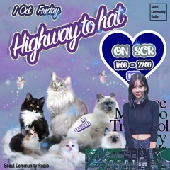 Mewzoo - Highway to Hat : Highway to Cat 🐱