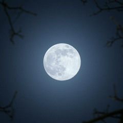 ATRAX - FULL MOON PARTY IN MIAMI NOVEMBER 2024