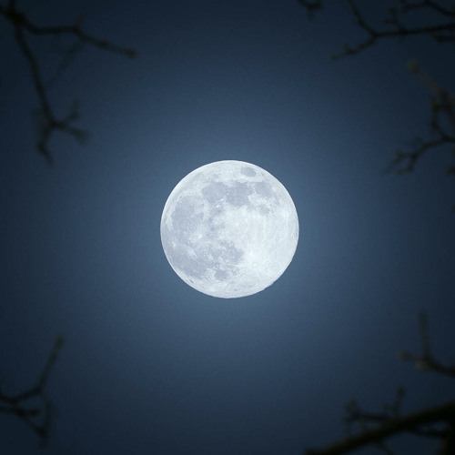 ATRAX - FULL MOON PARTY IN MIAMI NOVEMBER 2024