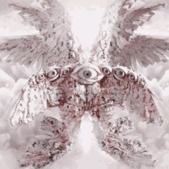 CHAOS DISTURBANCE VIP