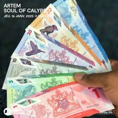 ARTEM : Soul of Calypso - 16 Janvier 2025