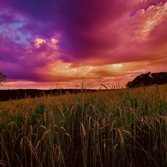 Paralyzed in paradise