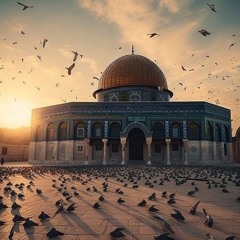 سورة الذريات الشيخ طارق حيدر