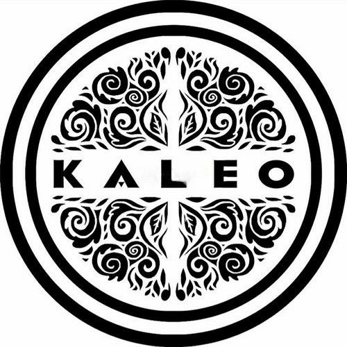 Stream BMN Listen to KALEO Unreleased playlist online for free on