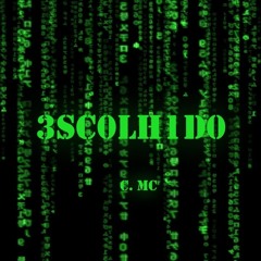 Escolhido - caos.zs