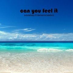Can You Feel It Feat Demannindemand (club mix)