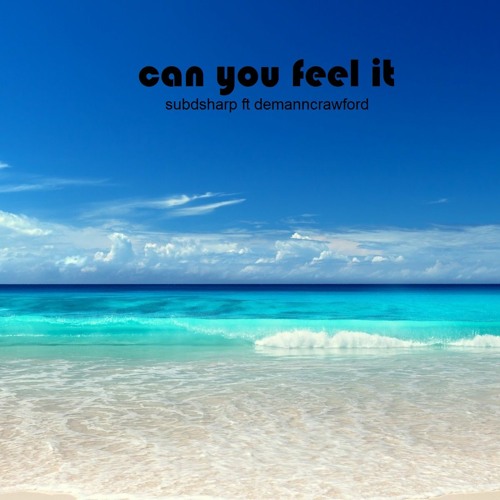 Can You Feel It Feat Demannindemand (club mix)