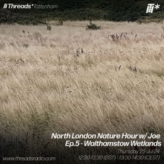 North London Nature Hour w/ Joe, Ep5 Walthamstow Wetlands (*Tottenham) - 25-Jul-24