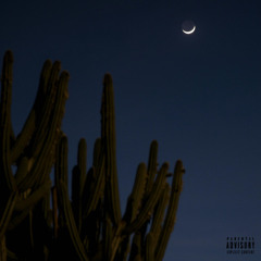Wicked West (prod. by Syndrome)