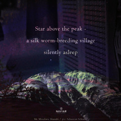 A Deafening Silence (naviarhaiku613)