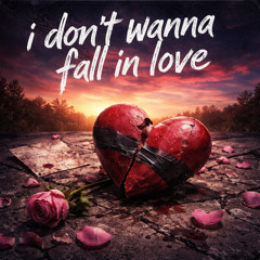 I Don't Wanna Fall In Love (Relax My Eye's) (Efan Electro Remix)