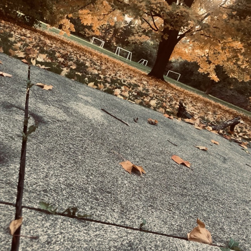 No Need To Make Amends (Prod. Iof)