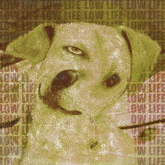 LOW LIFE