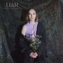 Liar