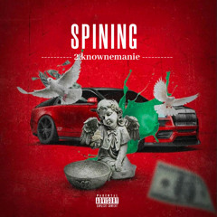 SPINING